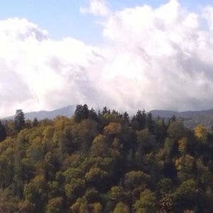 Meet your Posher, Phyllis